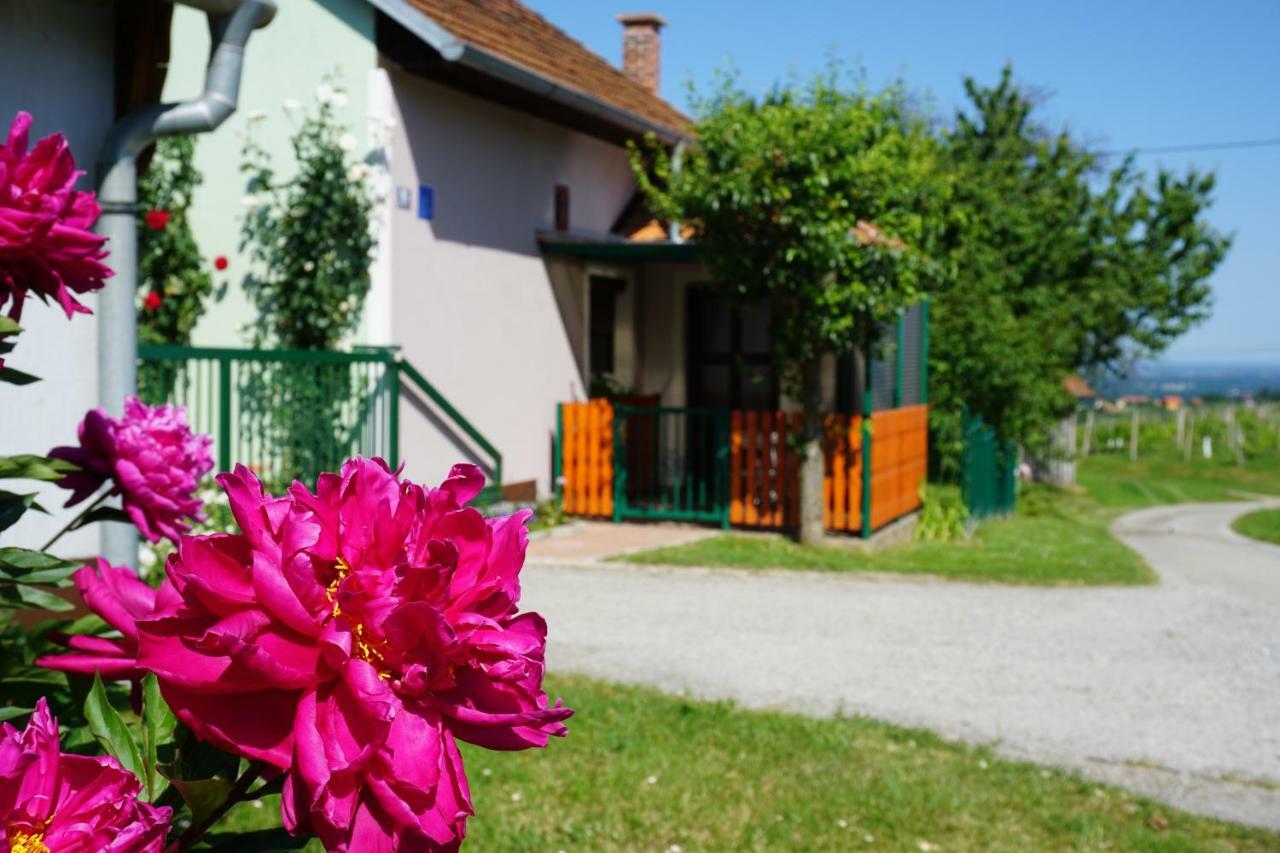 Holiday Home Maderka Strigova Exterior foto
