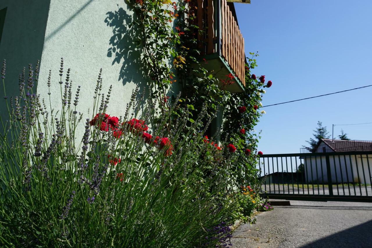 Holiday Home Maderka Strigova Exterior foto